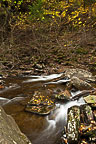 Ricketts Glen State Park, PA