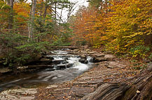 Ricketts Glen State Park, PA