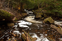 Ricketts Glen, PA