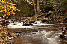 Ricketts Glen, PA