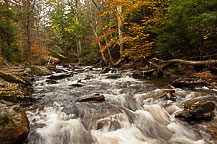 Ricketts Glen, PA