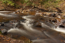 Ricketts Glen, PA