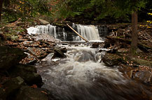 Ricketts Glen, PA