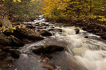 Ricketts Glen, PA