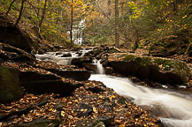 Ricketts Glen, PA