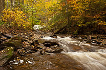 Ricketts Glen, PA