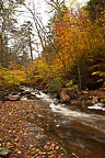 Ricketts Glen, PA