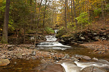 Ricketts Glen, PA