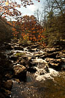 Glade Creek Mill, Babcock State Park, WV