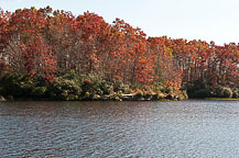 Babcock State Park, WV