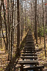 Mabry Mill, VA