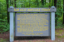 The Natchez Trace