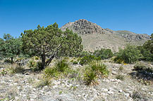 Guadalupe National Park