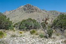 Guadalupe National Park