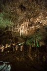 Carlsbad Caverns National Park