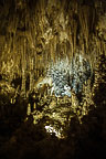 Carlsbad Caverns National Park