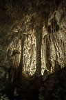 Carlsbad Caverns National Park