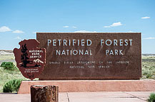 Petrified Forest National Park, AZ