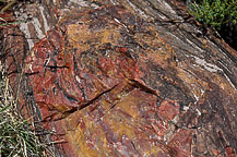 Petrified Forest National Park, AZ