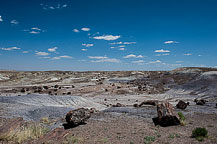 Petrified Forest National Park, AZ