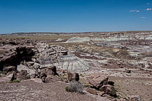 Petrified Forest National Park, AZ