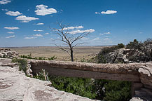 Petrified Forest National Park, AZ