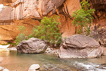 The Narrows, Zion National Park, UT