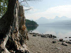 Lake MacDonald, Glacier National ParkLake MacDonald, Glacier National Park