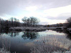 Rice Creek, Oswego, NY