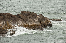 Rocks near Yaquina Lighthouse