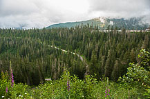 Mount Baker Highway
