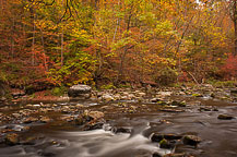 Below the Falls