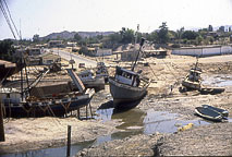 Low Tide