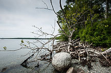 Lamoine State Park