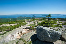 Cadillac Mountain View