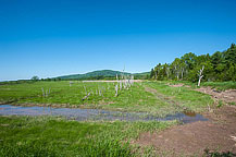 Bay of Fundy