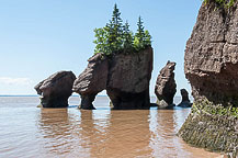 Hopewell Rock