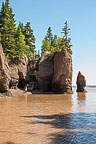 Staircase - Hopewell Rock