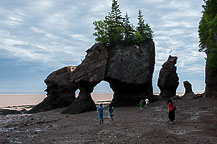 Hopewell Rocks