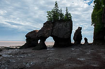 Hopewell Rocks