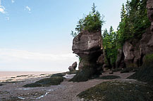 Hopewell Rocks