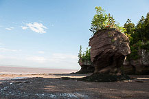 Hopewell Rocks