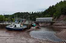 Low Tide