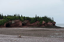 Low Tide