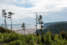 Fundy Trail