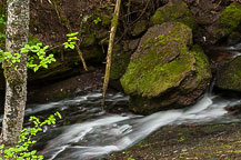 Fundy Trail - Fuller Falls