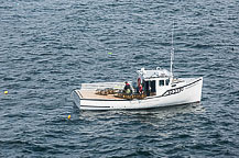 Lobster Fishermen