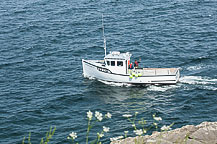 Lobster Fishermen