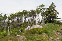 Cape Breton National Park