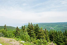 Cape Breton National Park